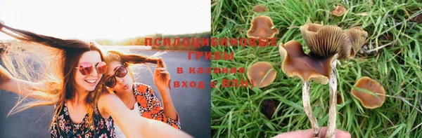 индика Покровск