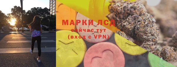 хмурый Пестово
