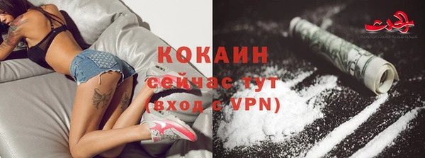 индика Покровск
