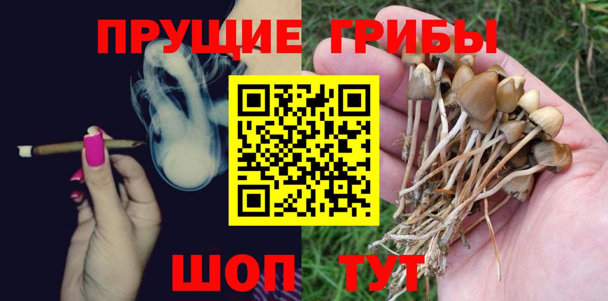 Галлюциногенные грибы мухоморы Тара